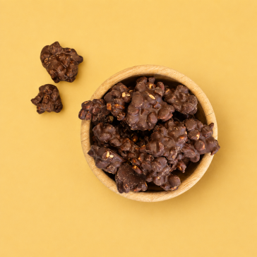 Chocolade rotsjes cookie fudge puur